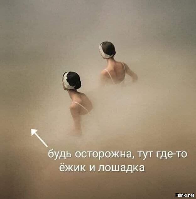 Солянка от 18.08.2020