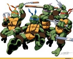 Экодуки: "мосты" которые требуют повсеместной установки