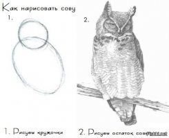 Это та же хрущёвка? 
Не хватает пары фотографий "процесса"