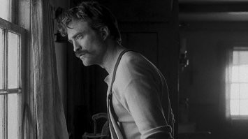 Моё лицо, еслиб ко мне постучалась чайка в форточку.