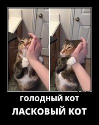 Прикольные и смешные картинки