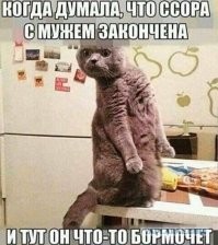 15 весёлых мужей, с которыми точно не соскучишься