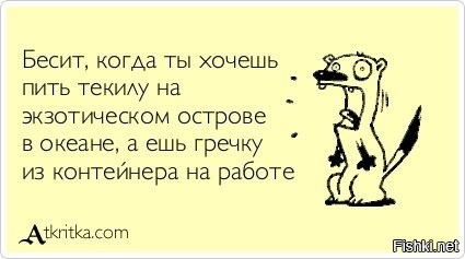 Солянка от 19.08.2020