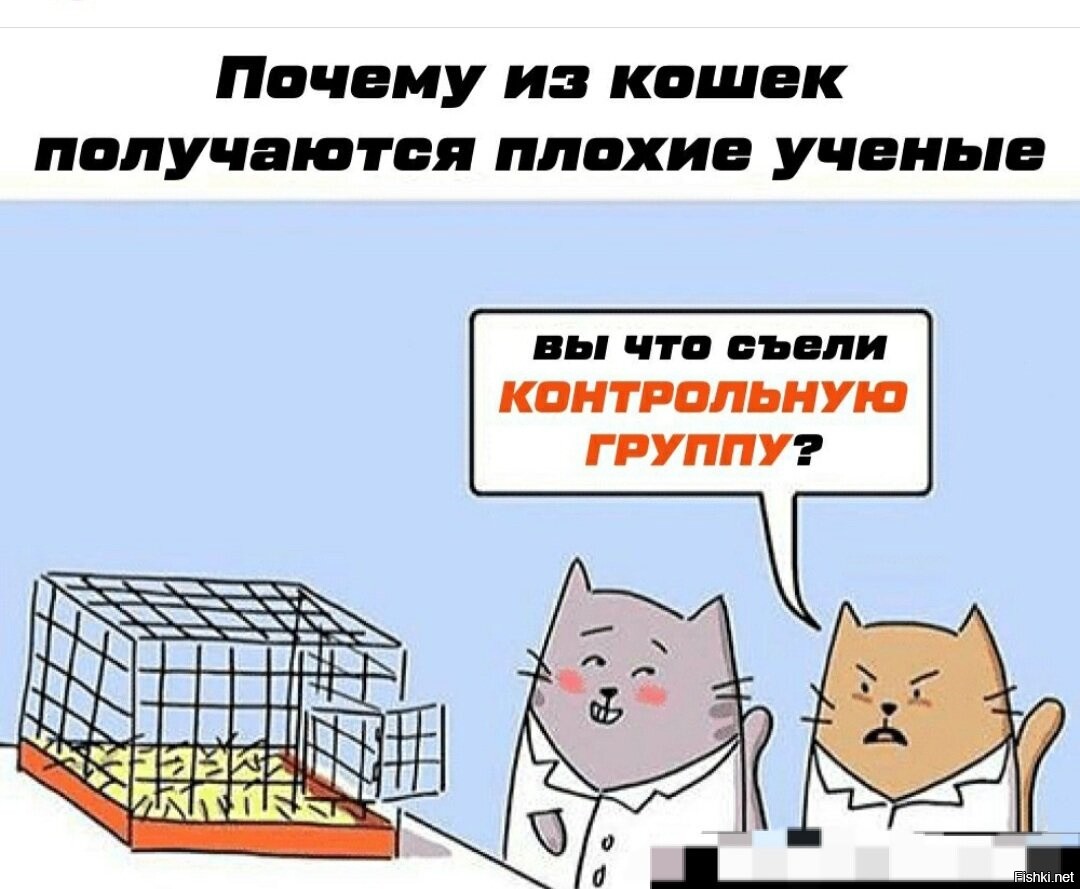 Кошка получается