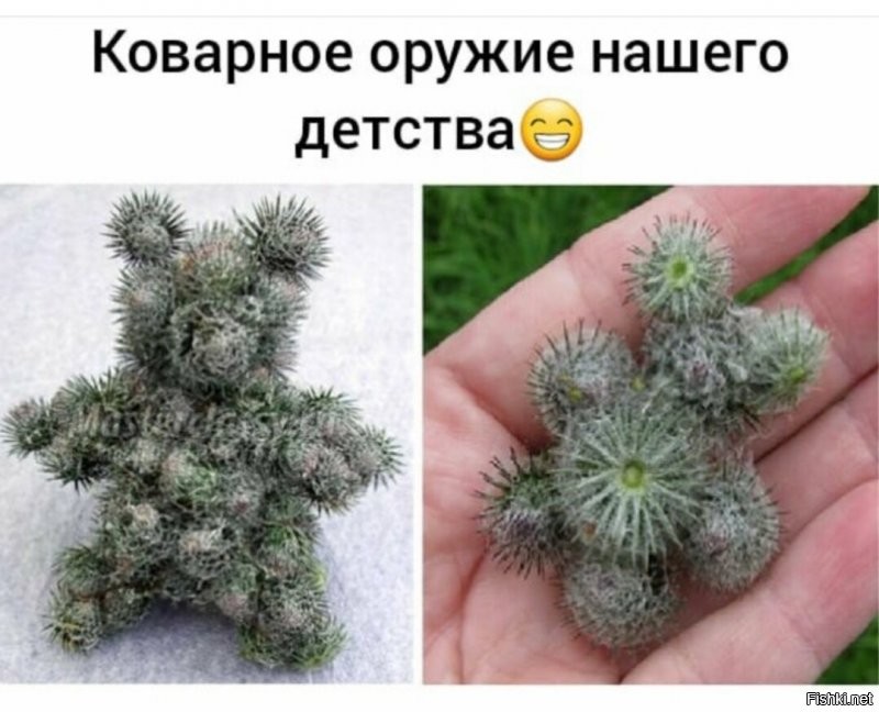 Солянка от 19.08.2020