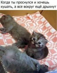 Позитива пост!