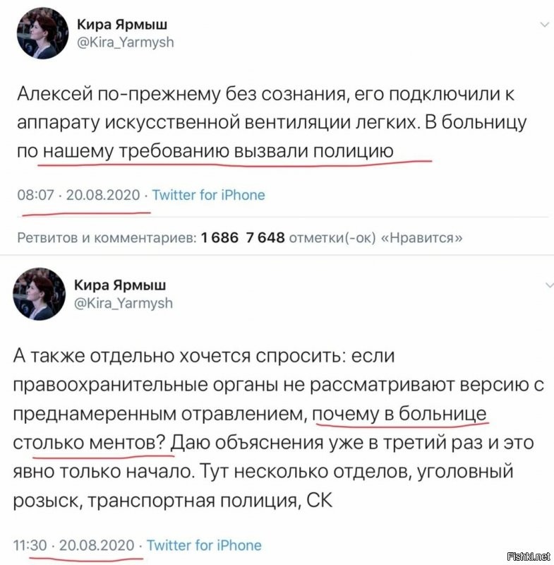 Политические комментарии из инета