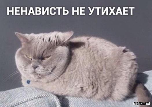 бизнес востанавливается