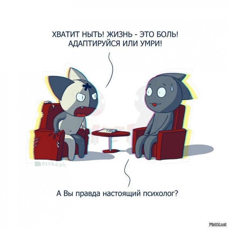 Солянка от 20.08.2020