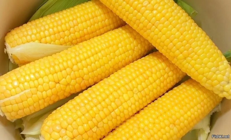 Солянка от 20.08.2020