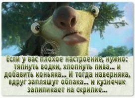 Прикольные и смешные картинки