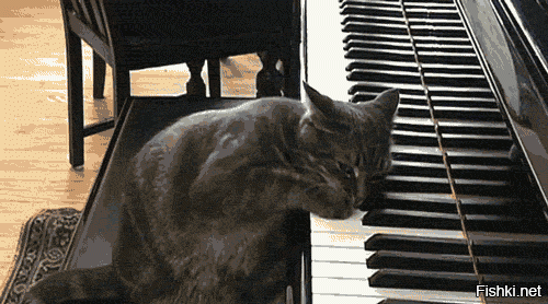 Солянка от 20.08.2020