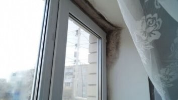 Не уверен, что это окно от застройщика. Даже самый жадный застройщик поставит двухкамерное окно, другие в наших широтах просто нельзя ставить. Это будет самое дешевое, самое дерьмовое, но двухкамерное. Тут же стоит однокамерное, это могли поставить только по желанию хозяина квартиры, например, вместо деревянных окон.