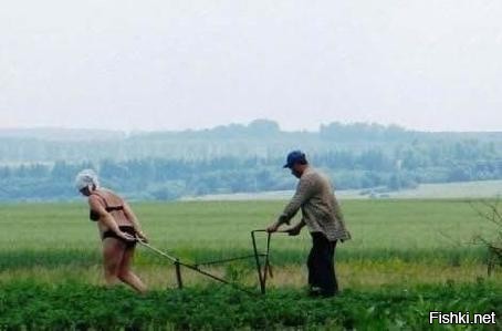 Солянка от 20.08.2020