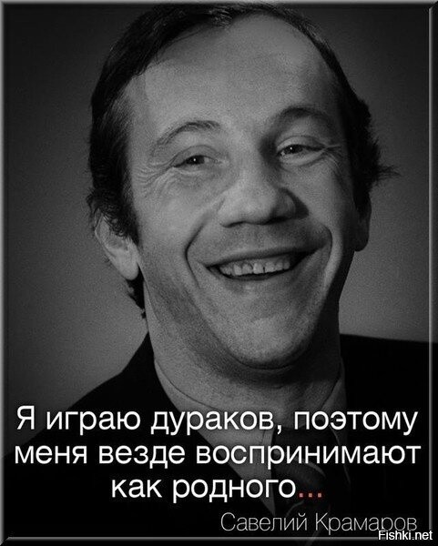 Почему любят дураки. Афоризмы про дураков. Смешные цитаты про дураков.