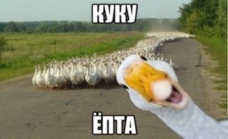 6 поразительных открытий в Антарктиде, о которых вы возможно не знали