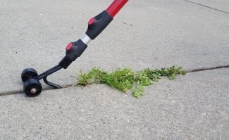 Инструмент для ухода за кустами. Этими штуками очень удобно очищать щели и трещины от сорняков.
Фиг там. Инструмент для удаления травы между плиток