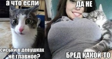 Картинки и баяны