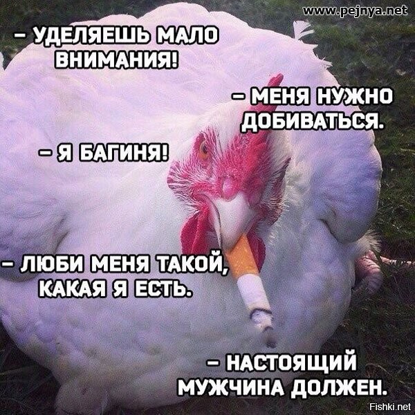 Солянка от 20.08.2020