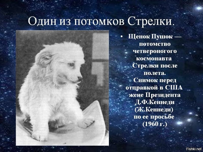Архивы бы хоть посмотрели свои пиндоские 60-х)