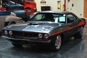 Барракуда: Красное море в крови. И все из-за этой рыбы