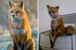 Бывает и хуже