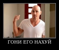 Прикольные и смешные картинки