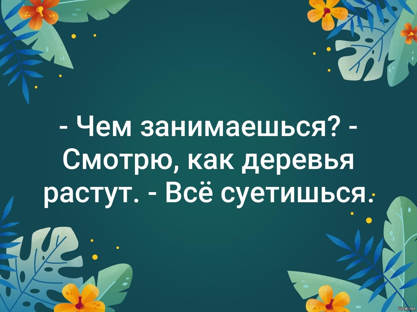 Смотрю как деревья растут все суетишься. Как растут деревья суетишься. Бамболейло. Чем занимаешься смотрю как деревья растут.