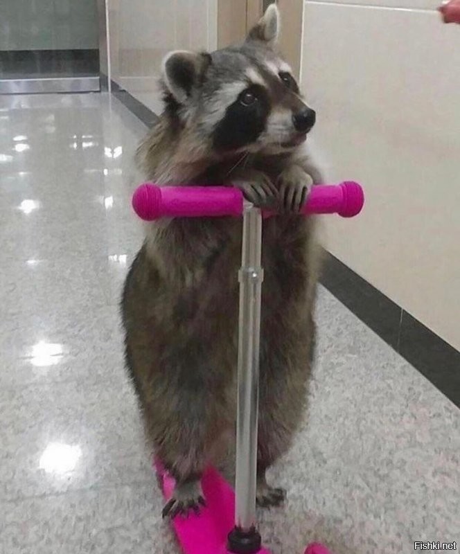 Солянка от 21.08.2020