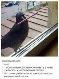 Хохотальня