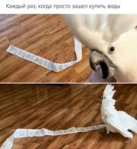 А воду купили?