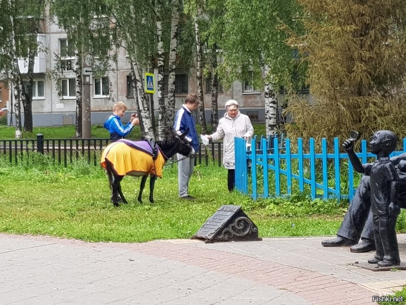 Всем настроения и бобра
