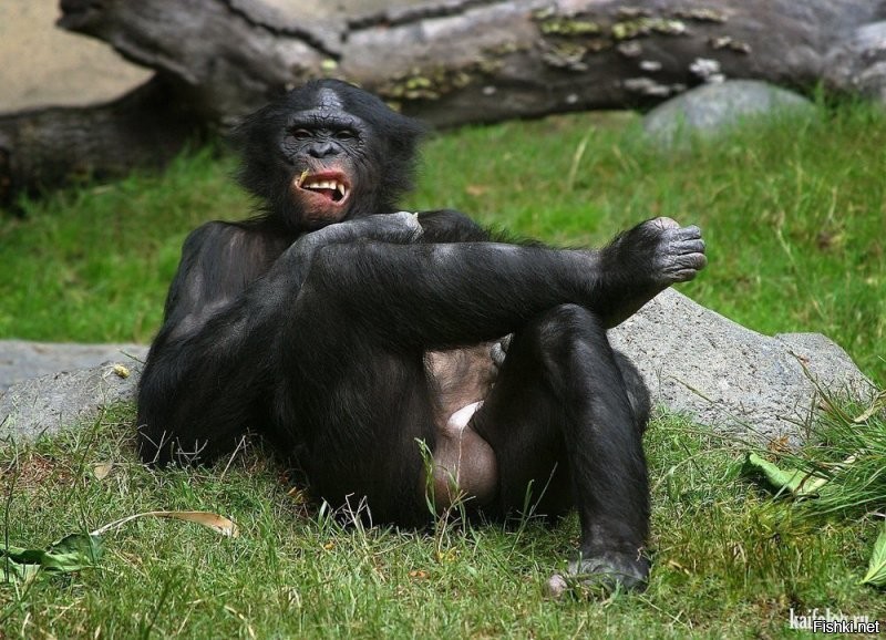 - Настоящему пацану бабки не нужны. Ну нас всё по-любви