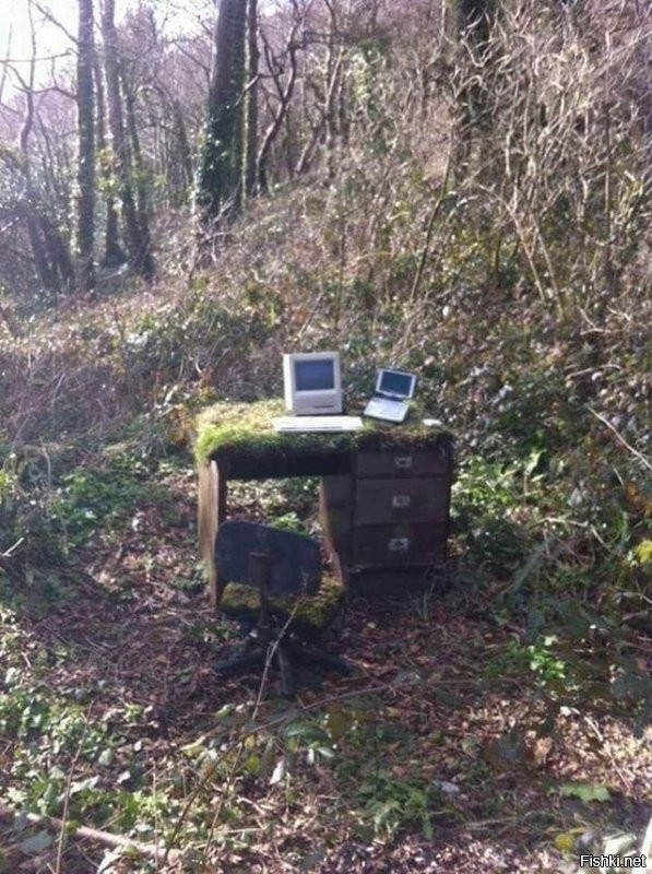 Солянка от 21.08.2020