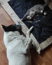 Мои ))