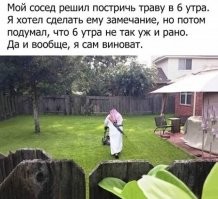 Весёлые картинки 