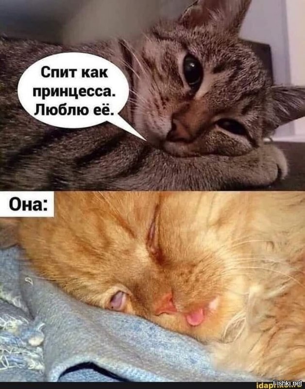 Солянка от 22.08.2020