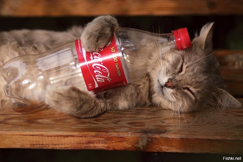 Все закончилось ... )