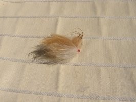 У нас тоже с соседским котиком вначале "трения" были, но сейчас - всё хорошо.
Да и зачем ему нужна была эта кисточка на хвосте?