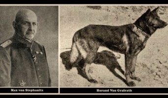 Двое великих 
3 апреля 1899 года ротмистр Макс фон Штефаниц, отдыхая в Карлсруе, зашёл на выставку собак, где случайно приобрёл у незнакомца пса по кличке Гектор, найдя в нём воплощение своих мечтаний о создании новой породы. Через несколько месяцев Гектор, которого теперь звали Хоранд, был зарегистрирован в Племенной Книге немецких овчарок под номером 1.