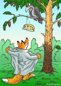 Рыжие и пушистые:  17 раз, когда люди встречали лису там, где никто не ожидал