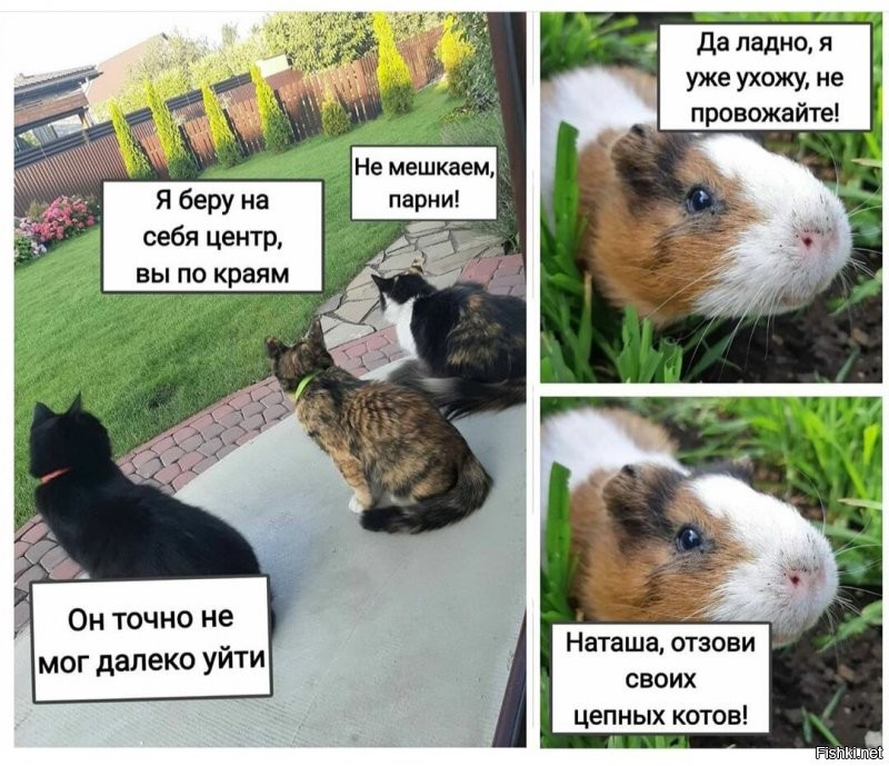 Солянка от 23.08.2020