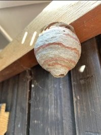 со своим блекджеком и шлюхами, я надеюсь