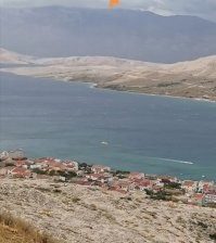 Есть на Тенерифе, в Египте, вот с Хорватии (фоткала ни его, просто в кадр попал, поэтому так "детально")