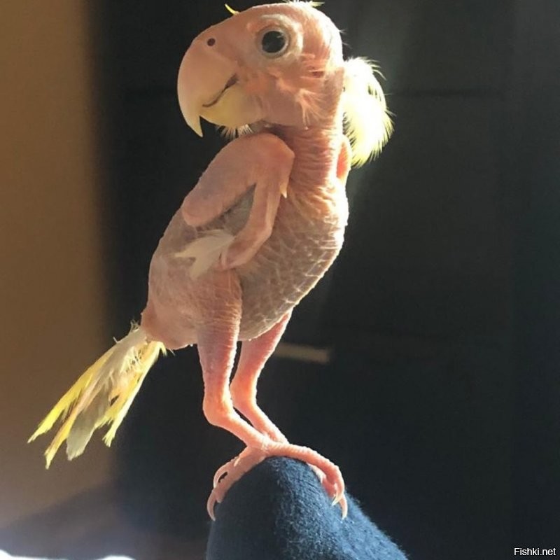 надеюсь оно того стоило