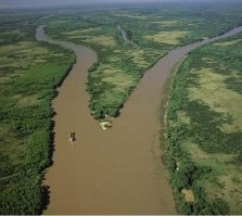 Ориноко (Южная Америка) - в точке бифуркации.