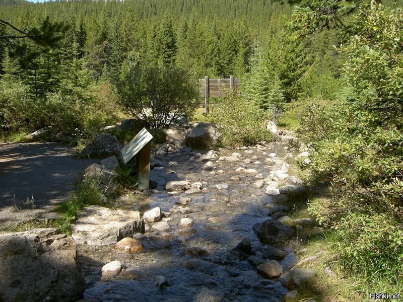 Дивайд-Крик (англ. Divide Creek, с англ.   «Разделяющийся ручей»)   короткий ручей недалеко от перевала Кикинг-Хорс на границе канадских провинций Британская Колумбия и Альберта (а также на границе между национальными парками Йохо и Банф). Пройдя небольшое расстояние на Американском континентальном водоразделе, ручей разделяется на две ветви. Одна из них течёт на восток, в конечном итоге впадая в Гудзонов залив Атлантического океана через реку Боу, а вторая   на запад, впадая в Тихий океан через реку Кикинг-Хорс.

Место разделения ручья на две ветви