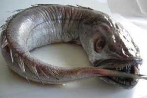 мадам, если вы действительно любите своих близких, я таки вас умоляю, удаляйте кожицу с чле.., пардон, с томатов, она липнет к небу, и нарушает весь биогеоценоз  в сфотографированной  тарелке...не благодарите