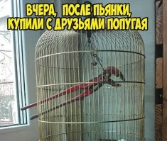 В Москве задержали вымогателей в костюмах сказочных персонажей