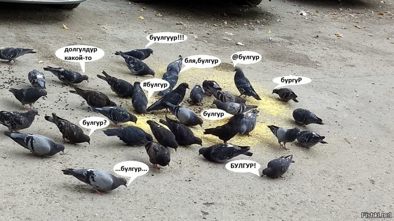 Солянка от 22.08.2020